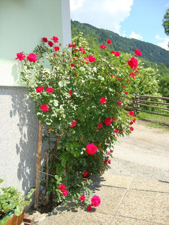 Apartamento Gruberbauer Remsach Bad Gastein Exterior foto