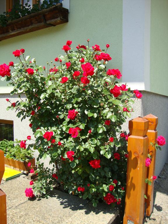 Apartamento Gruberbauer Remsach Bad Gastein Exterior foto